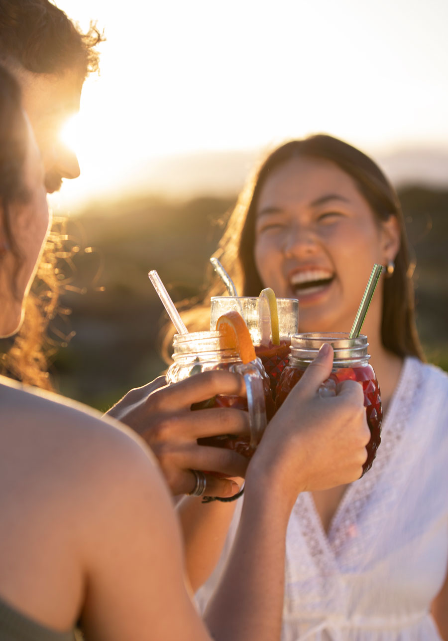 friends cheers by beach