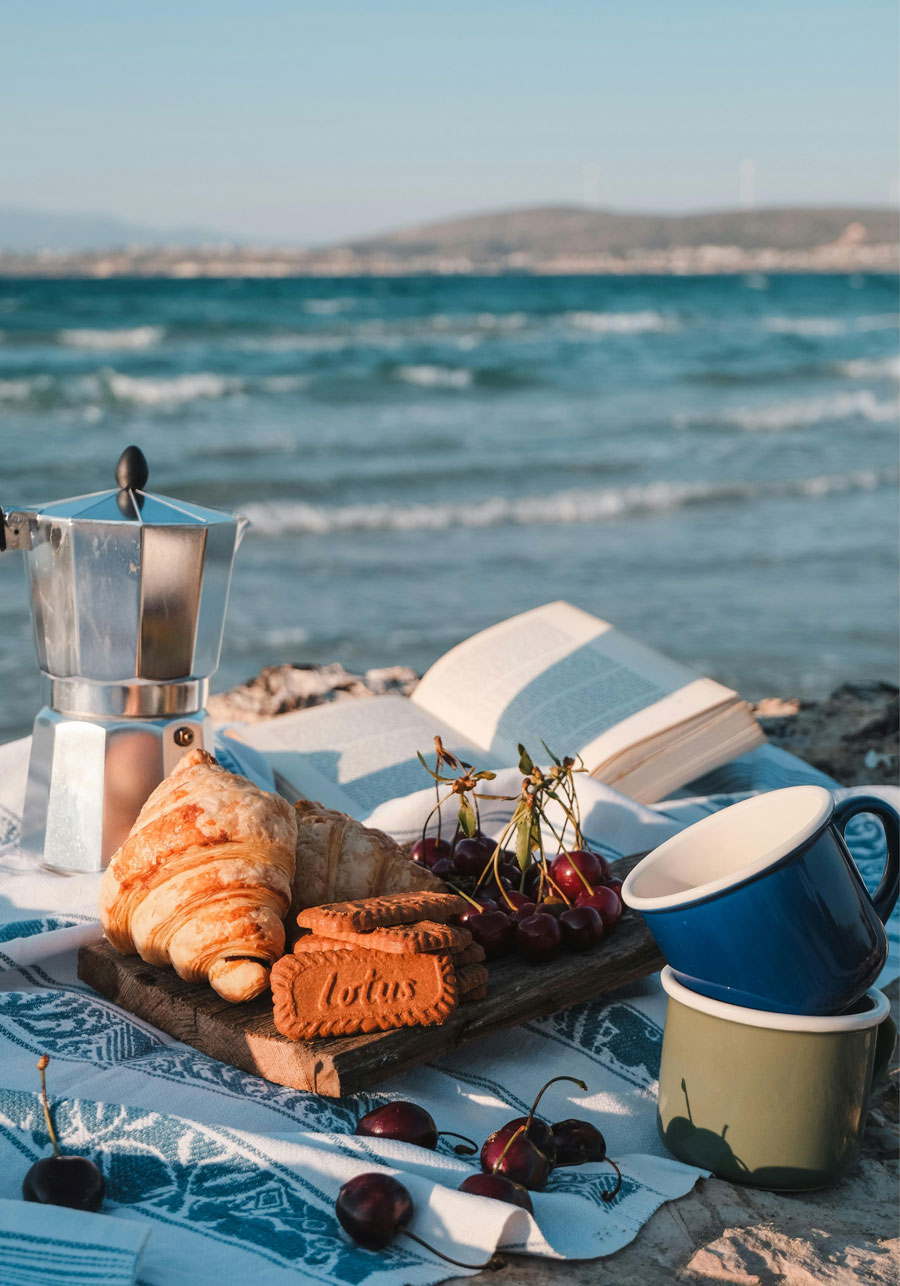 picnic near the beach